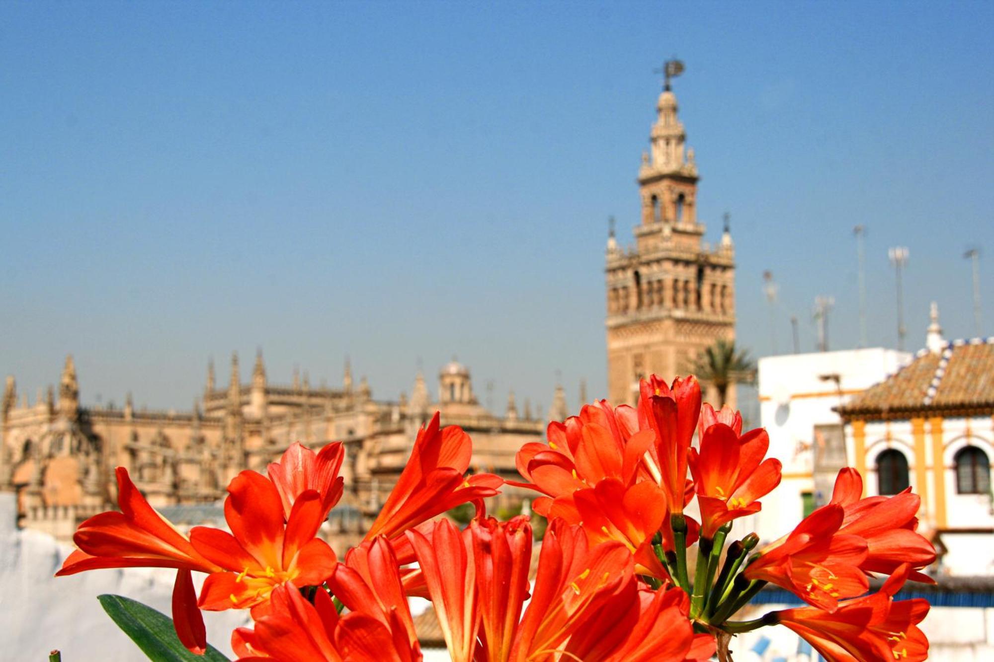 Hotel Boutique Casas De Santa Cruz Sevilla Eksteriør bilde